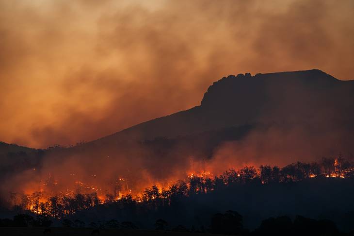 Kemurahan Hati Malaysia yang Tawarkan Ikut Bantu Padamkan Api Kebakaran Hutan di Kalimantan dan Sumatra