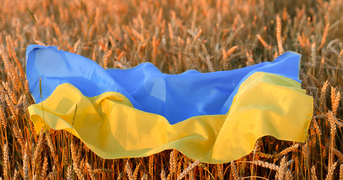 Ukraina Pemasok Gandum Impor Terbanyak di Indonesia Tahun 2020/2021