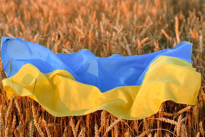 Ukraina Pemasok Gandum Impor Terbanyak di Indonesia Tahun 2020/2021