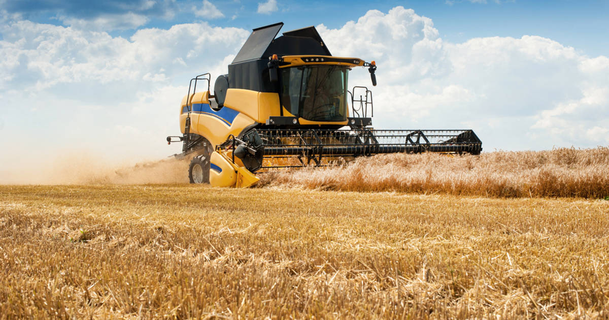 5 Produk Pertanian Ukraina dengan Produksi Terbanyak 2021