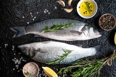 Gaungkan Gerakan Makan Ikan, Tingkat Konsumsi Ikan Indonesia Meningkat