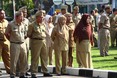 Jumlah PNS Menurun, Apa Penyebabnya?