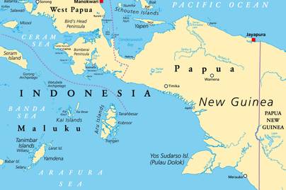 Papua Kini Miliki 4 Provinsi Baru, Jumlah Provinsi di Indonesia Bertambah Menjadi 38