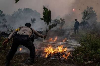 Luas Kebakaran Hutan dan Lahan di Indonesia Kembali Menurun pada Tahun 2022