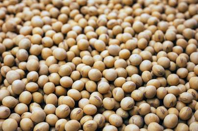 Produksi Kedelai Tak Cukup Tinggi, Indonesia Masih Masif Impor Kedelai