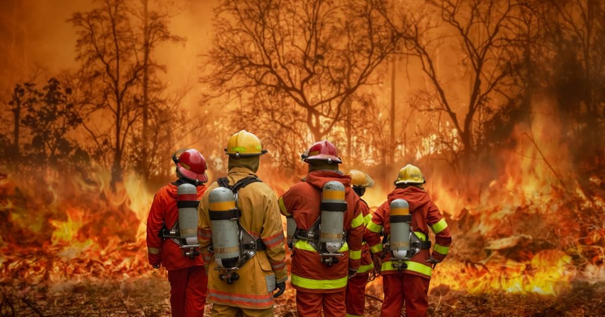 Potensi Karhutla Makin Besar, Area Restorasi Gambut Rentan Terbakar