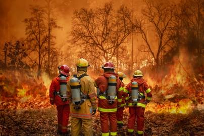 Potensi Karhutla Makin Besar, Area Restorasi Gambut Rentan Terbakar