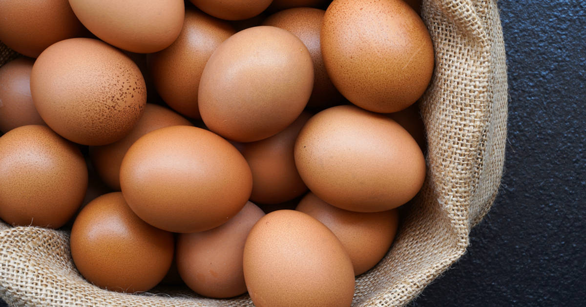 Harga Telur Ayam Ras Melambung Tinggi, Diprediksi Terjadi Hingga September 2023