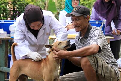 Tetapkan KLB Atas Kasus Rabies, Berapa Banyak Peningkatan Kasusnya Dalam 5 Tahun Terakhir?