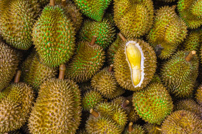 Kementan Melihat Potensi Ekspor Durian, Seberapa Banyak Produksinya?