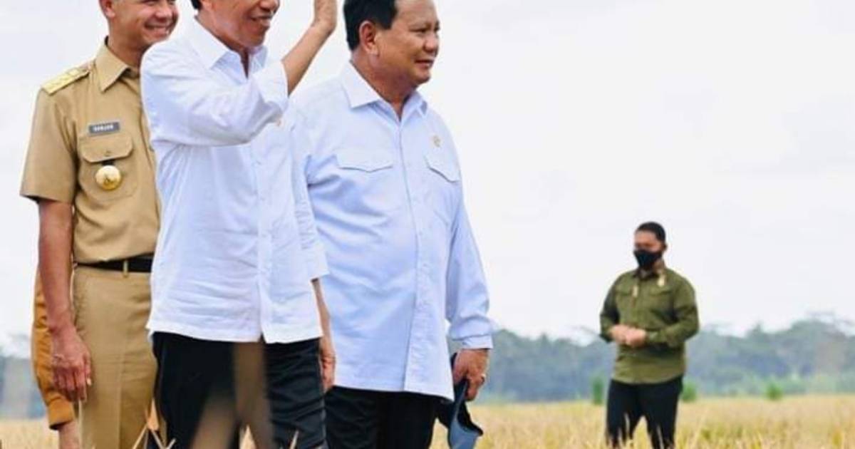Kepuasan Publik Berdampak Positif bagi Capres yang Dekat dengan Jokowi