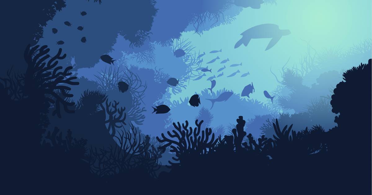 Ikan-Ikan Terbesar di Dunia, Ada yang Dijumpai di Laut Indonesia