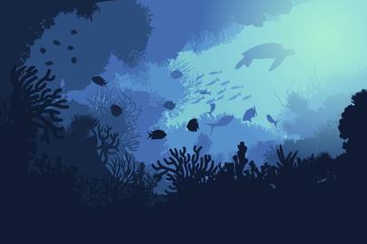 Ikan-Ikan Terbesar di Dunia, Ada yang Dijumpai di Laut Indonesia