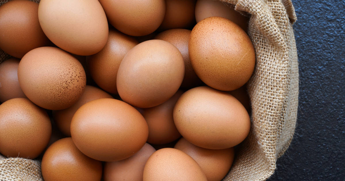Konsumsi Telur Ayam RI Tak Terlalu Banyak, Mengapa?