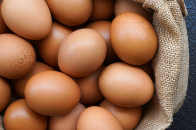Konsumsi Telur Ayam RI Tak Terlalu Banyak, Mengapa?
