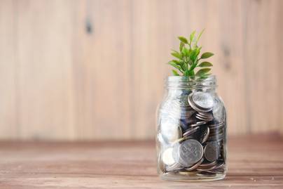 Green Economy Berpotensi Serap Tenaga Kerja Lebih Banyak