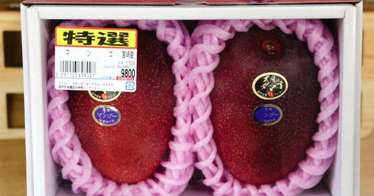 Inilah Buah Termahal di Dunia, Ada yang Ingin Kamu Coba?