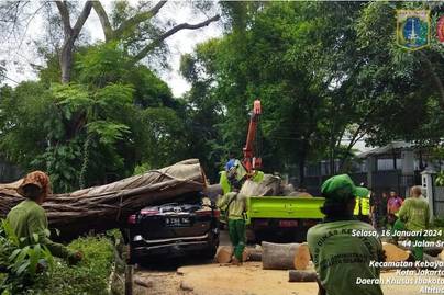 Melihat Data Cuaca Kediaman Prabowo Saat Pohon Depan Rumahnya Tumbang