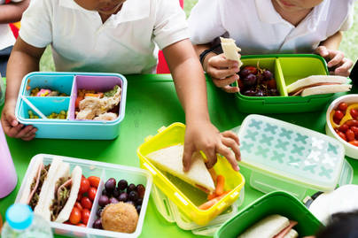 Sederet Negara Ini Miliki Program Makan Siang Gratis, Ada yang Sudah Berlangsung Sejak 1940-an!