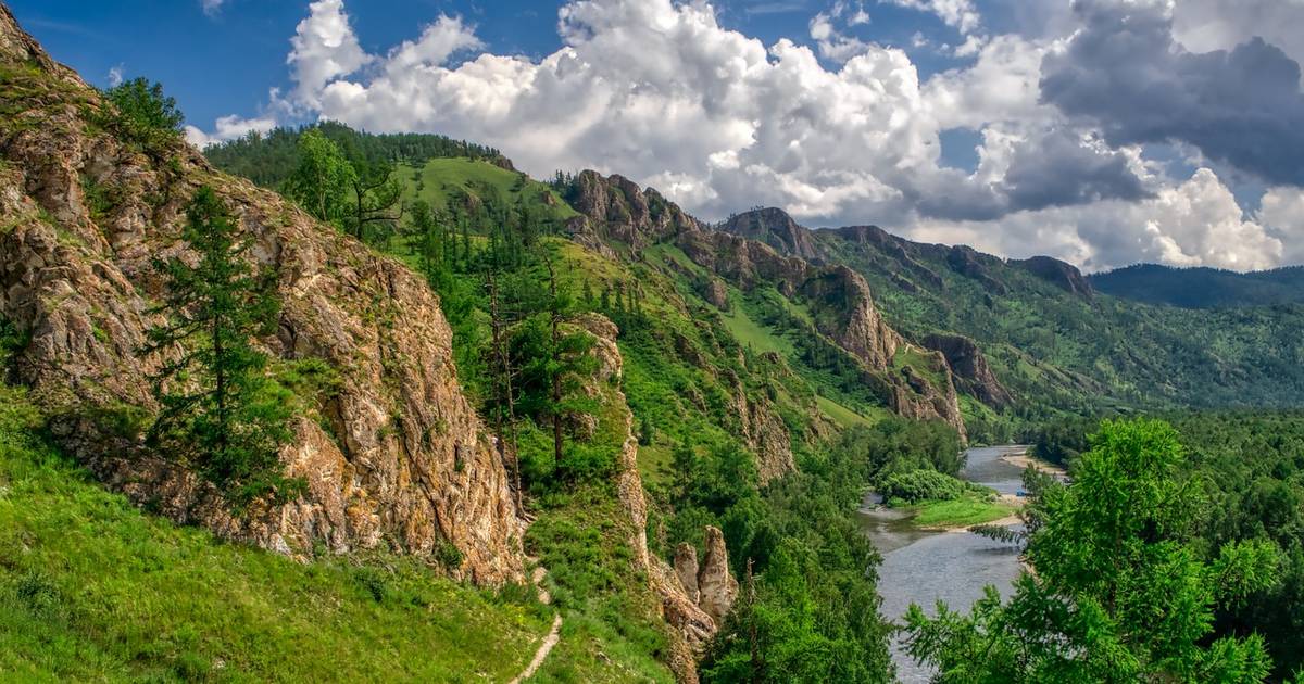Eropa Jadi Penyumbang Kawasan Hutan Global Terbesar, Rusia Mendominasi