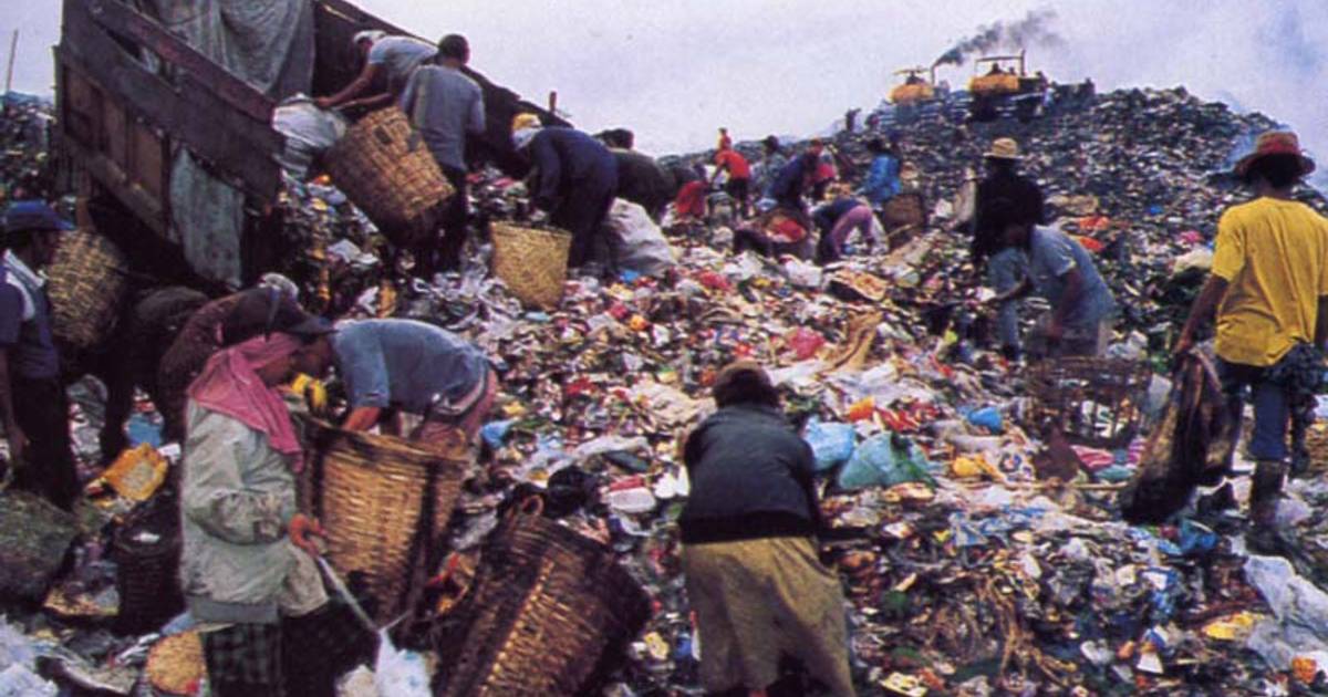 Bakar Sampah Jadi Pilihan Utama Rumah Tangga dalam Pengelolaan Sampah