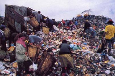 Bakar Sampah Jadi Pilihan Utama Rumah Tangga dalam Pengelolaan Sampah