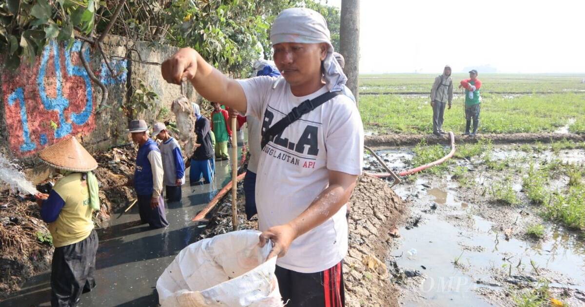Hanya 70 Ribu per Hari: Upah Petani Masih Rendah, Risiko Leptospirosis Meningkat