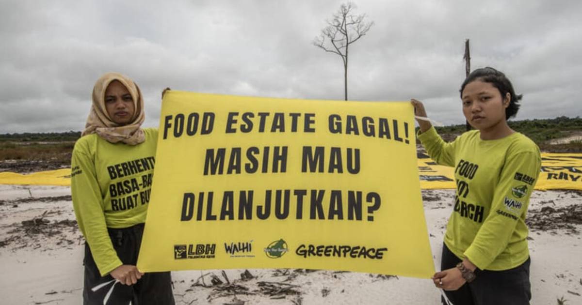 Getah Food Estate, Botaknya Jutaan Hutan Indonesia