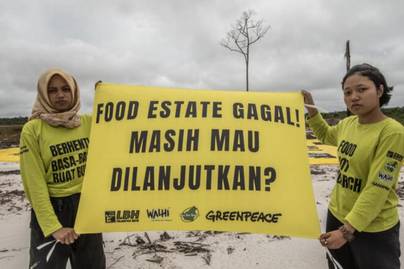 Getah Food Estate, Botaknya Jutaan Hutan Indonesia