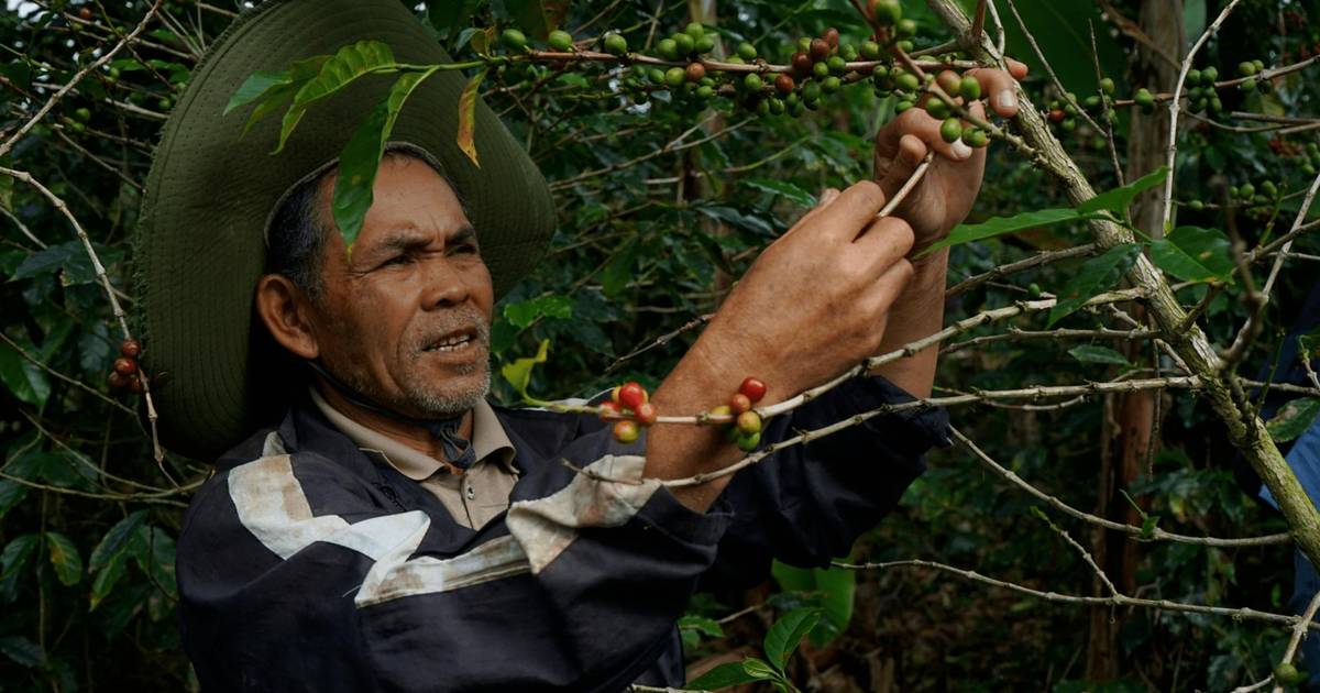 Menuju Akses Hutan yang Berkeadilan Melalui Perhutanan Sosial