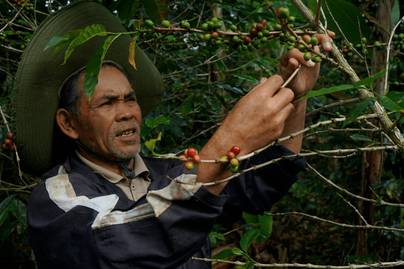 Menuju Akses Hutan yang Berkeadilan Melalui Perhutanan Sosial