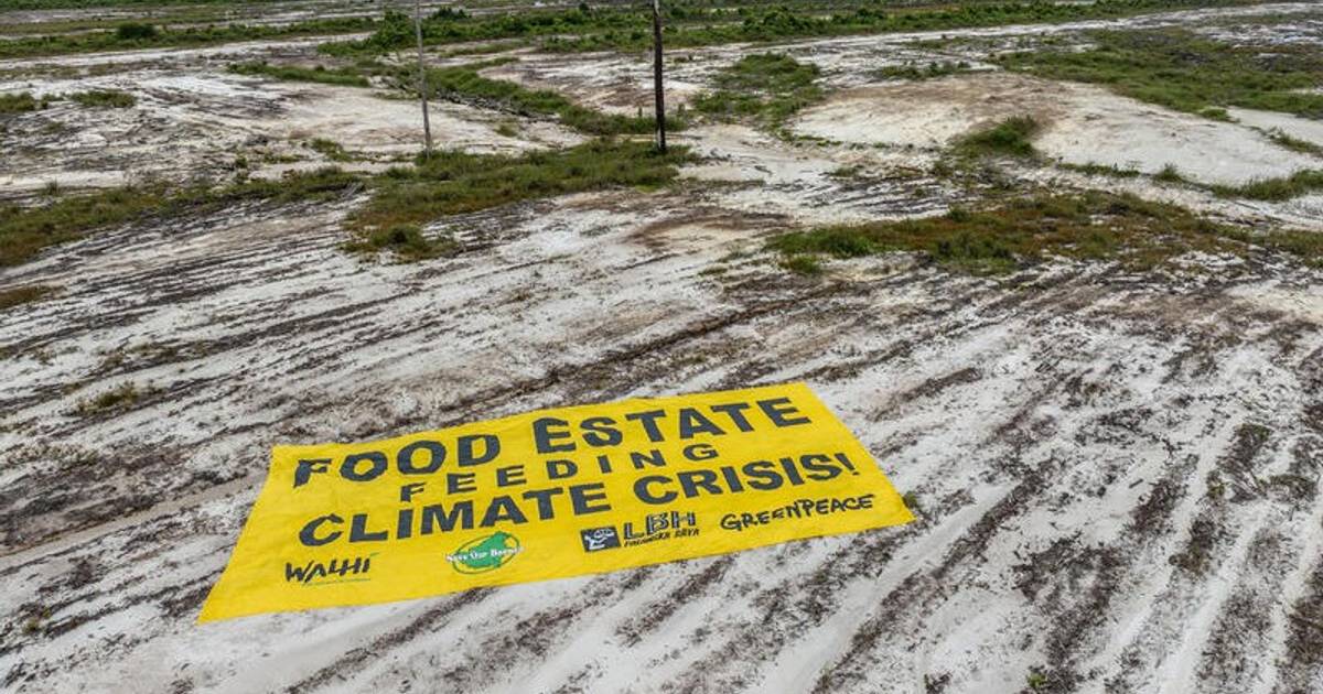 “Coba Lagi” Proyek Food Estate di Indonesia