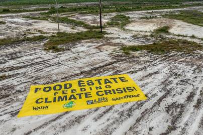 “Coba Lagi” Proyek Food Estate di Indonesia