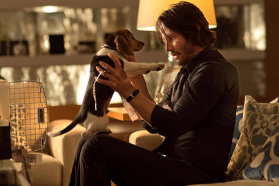 10 Tahun Film Waralaba John Wick, Sukses dan Ikonik Lewat Keanu Reeves