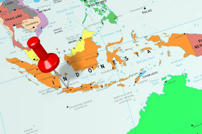 Transformasi Indonesia Menuju Pembangunan Berkelanjutan
