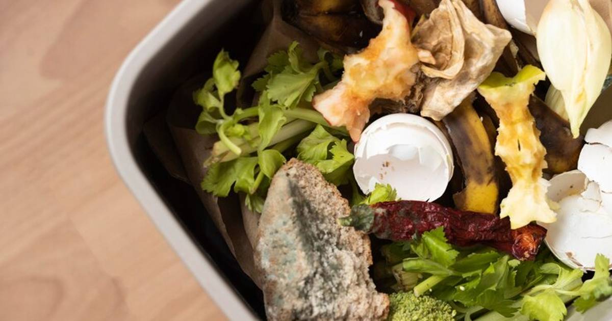 Mengatasi Food Waste: Solusi Ramah Lingkungan untuk Masa Depan
