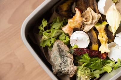 Mengatasi Food Waste: Solusi Ramah Lingkungan untuk Masa Depan