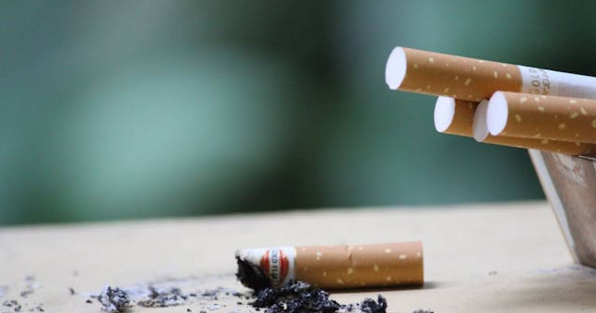 Ini Peta Kebijakan Rokok Global 2024