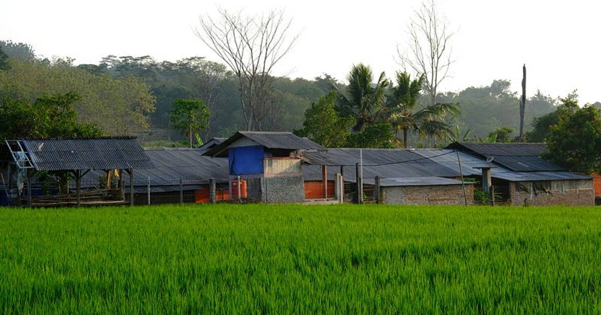 Sangat Banyak, Berikut Jumlah Desa di Indonesia yang Mencapai Lebih Dari 75.000 Desa/Kelurahan
