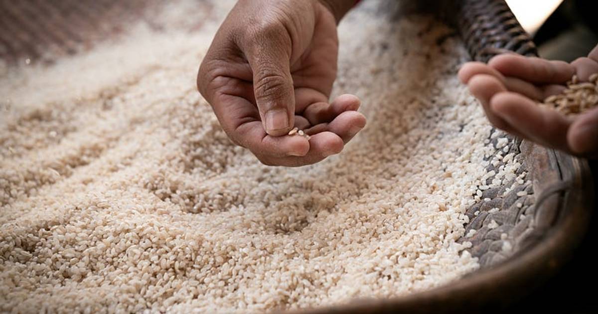 Daftar Merek Beras Oplosan, Beberapa Merupakan Merek Besar di Sektor Pangan Nasional