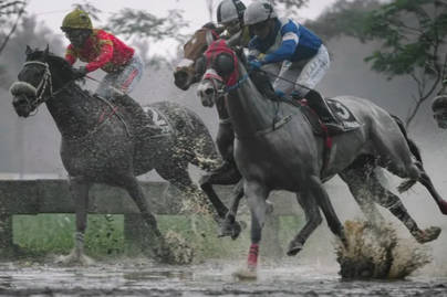 King Argentin dan Gelar Triple Crown, Sang Mahkota Tertinggi Pacuan Kuda Kembali ke Indonesia