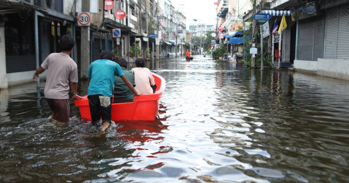 Jumlah Kasus Leptospirosis di Indonesia, Tren Meningkat di Pertengahan 2025!