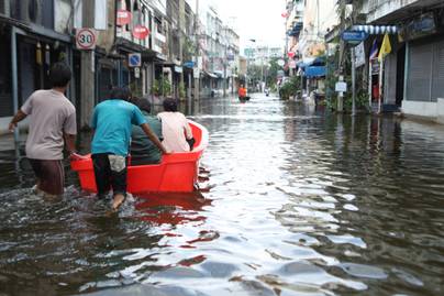 Jumlah Kasus Leptospirosis di Indonesia, Tren Meningkat di Pertengahan 2025!