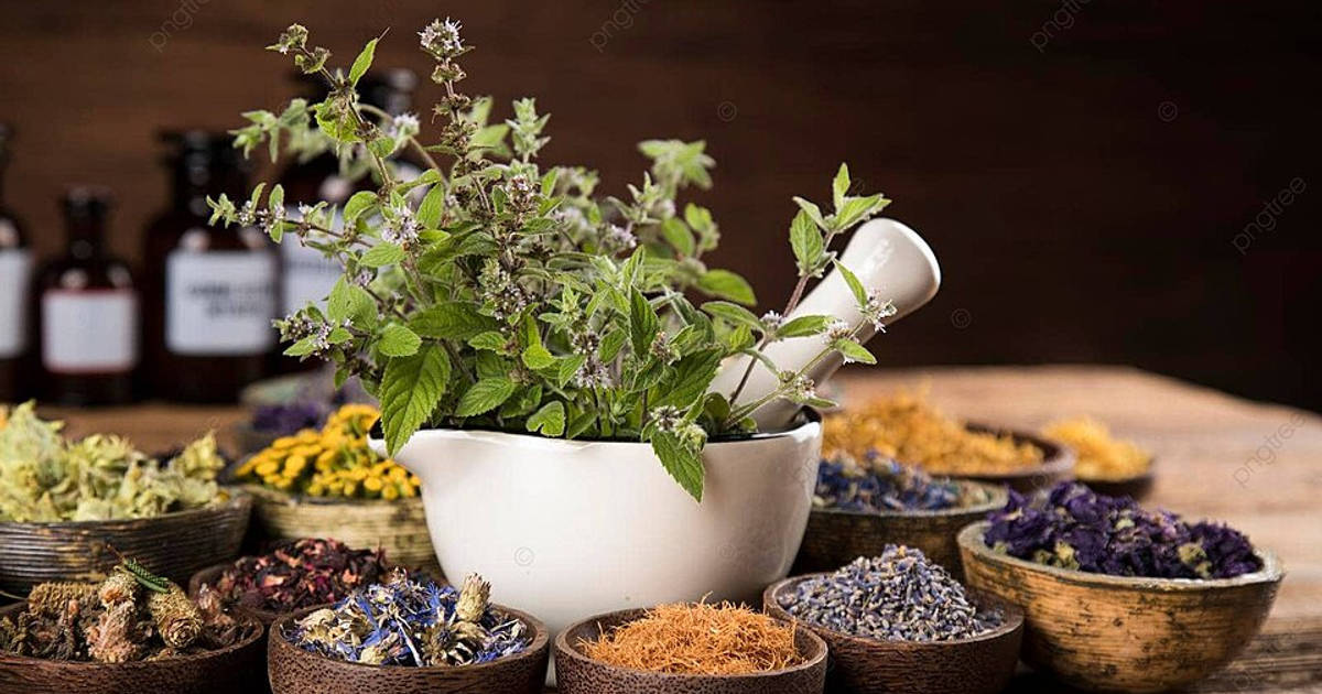 10 Negara Utama Tujuan Ekspor Produk Obat Tradisional Indonesia Semester I 2025