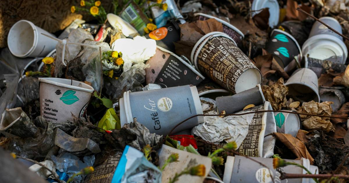 Simak Kinerja Pengelolaan Sampah ASEAN 2024, Indonesia Peringkat Berapa?