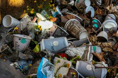 Simak Kinerja Pengelolaan Sampah ASEAN 2024, Indonesia Peringkat Berapa?