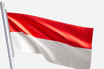 Setelah 70 Tahun, Bahasa Indonesia Berkumandang Pertama Kali di Sidang Umum UNESCO