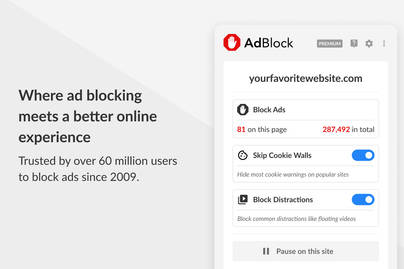 7 Alasan Publik RI Gunakan Fitur Ad Blockers saat Kunjungi Website