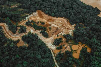 Kemenhut Targetkan Laju Deforestasi Turun Jadi 94 Ribu Ha pada 2029