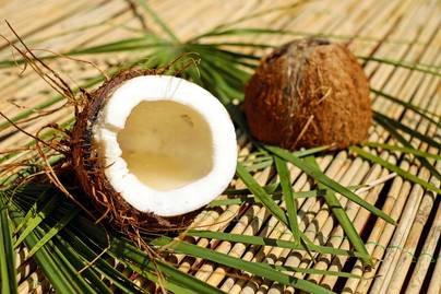 Kualitas Kelapa Menurun, 75% Publik Sebut Karena Usia Panen Terlalu Dini